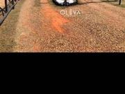 Casa / Sobrado para Venda em Mendonça/SP Centro 3 Quartos