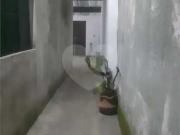 Casa / Sobrado para Venda em Mongaguá/SP Jussara 2 Quartos