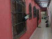 Casa / Sobrado para Venda em Mongaguá/SP Vila Atlântica...