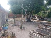 Casa / Sobrado para Venda em Natal/RN Ponta Negra 4 Quartos