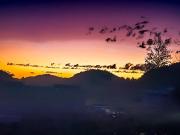 Casa / Sobrado para Venda em Natividade da Serra/SP...