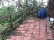 Casa / Sobrado para Venda em Niterói/RJ Icaraí 4 Quartos