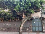 Casa / Sobrado para Venda em Niterói/RJ Icaraí 3 Quartos