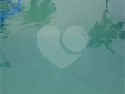 Casa / Sobrado para Venda em Osasco/SP Bela Vista 2 Quartos