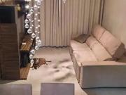 Casa / Sobrado para Venda em Osasco/SP Bela Vista 3 Quartos