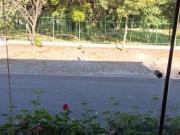 Casa / Sobrado para Venda em Osasco/SP Cidade das Flores...