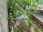 Casa / Sobrado para Venda em Osasco/SP Veloso 4 Quartos