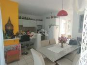 Casa / Sobrado para Venda em Palhoça/SC Bela Vista 2 Quartos