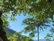 Casa / Sobrado para Venda em Palhoça/SC Enseada de Brito...