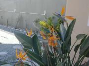 Casa / Sobrado para Venda em Palhoça/SC Praia do Sonho 3...