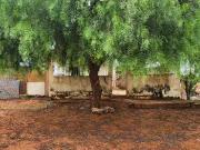 Casa / Sobrado para Venda em Planaltina/GO Setor Norte 2...