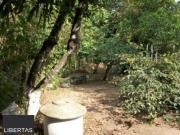 Casa / Sobrado para Venda em Porto Alegre/RS Belém Novo...