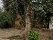 Casa / Sobrado para Venda em Porto Alegre/RS Partenon 2...