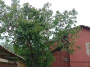 Casa / Sobrado para Venda em Porto Alegre/RS Tristeza 3...