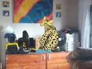 Casa / Sobrado para Venda em Praia Grande/SP Aviação 4...