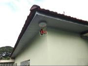 Casa / Sobrado para Venda em Presidente Prudente/SP...