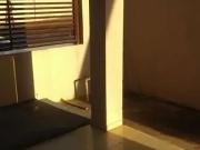 Casa / Sobrado para Venda em Reginópolis/SP Centro 2 Quartos Casa / Sobrado para Venda em Reginópolis/SP Centro 2 Quartos