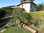Casa / Sobrado para Venda em Ribeirão das Neves/MG...