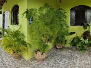 Casa / Sobrado para Venda em Ribeirão das Neves/MG...