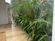 Casa / Sobrado para Venda em Ribeirão Preto/SP Bonfim...