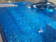 Casa / Sobrado para Venda em Ribeirão Preto/SP Vila...