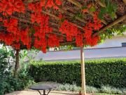 Casa / Sobrado para Venda em Rio das Pedras/SP São...