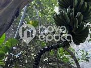 Casa / Sobrado para Venda em Rio de Janeiro/RJ Botafogo...