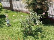 Casa / Sobrado para Venda em Rio de Janeiro/RJ Jardim...