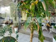 Casa / Sobrado para Venda em Rio de Janeiro/RJ Méier 2...