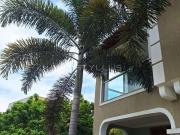 Casa / Sobrado para Venda em Rio de Janeiro/RJ Méier 6...
