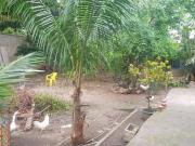 Casa / Sobrado para Venda em Rio de Janeiro/RJ Oswaldo...