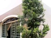 Casa / Sobrado para Venda em São Caetano do Sul/SP...