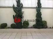 Casa / Sobrado para Venda em São Caetano do Sul/SP Santa...