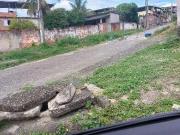 Casa / Sobrado para Venda em São Gonçalo/RJ Jóquei Clube...