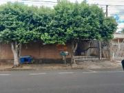 Casa / Sobrado para Venda em São José do Rio Preto/SP...