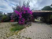 Casa / Sobrado para Venda em São José/SC Centro 3 Quartos
