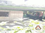 Casa / Sobrado para Venda em São Paulo/SP Americanópolis