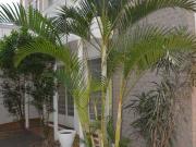 Casa / Sobrado para Venda em São Paulo/SP Campo Belo 2...