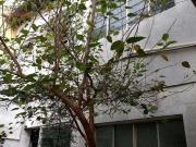 Casa / Sobrado para Venda em São Paulo/SP Cidade Dutra 2...