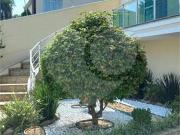 Casa / Sobrado para Venda em São Paulo/SP City América 4...