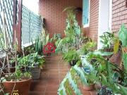 Casa / Sobrado para Venda em São Paulo/SP Freguesia do Ó...