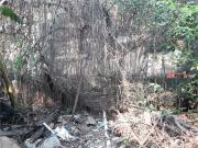 Casa / Sobrado para Venda em São Paulo/SP Jaçanã 2 Quartos