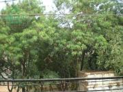 Casa / Sobrado para Venda em São Paulo/SP Jardim Cidade...