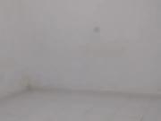 Casa / Sobrado para Venda em São Paulo/SP Jardim...