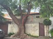 Casa / Sobrado para Venda em São Paulo/SP Jardim Sarah 4...