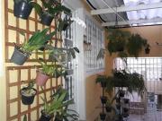 Casa / Sobrado para Venda em São Paulo/SP Limão 5 Quartos