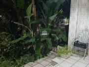 Casa / Sobrado para Venda em São Paulo/SP Mirandópolis 5...