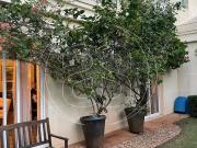 Casa / Sobrado para Venda em São Paulo/SP Moema 5 Quartos