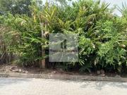 Casa / Sobrado para Venda em São Paulo/SP Parque do...