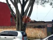 Casa / Sobrado para Venda em São Paulo/SP Parque Santa...